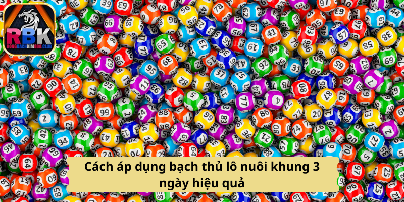 Cách Chơi Bạch Thủ Lô Hiệu Quả Trong 3 Ngày